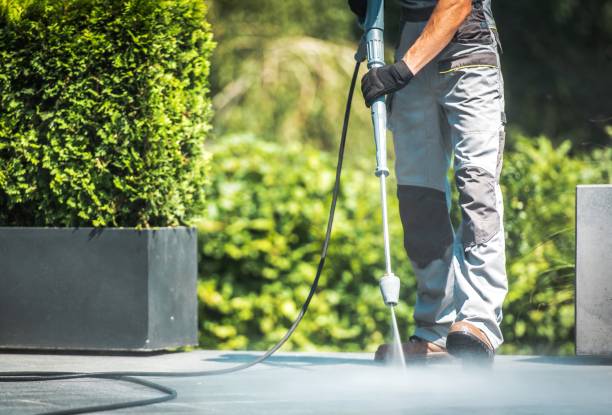 Best Building Exterior Pressure Washing in Lafayette, TN