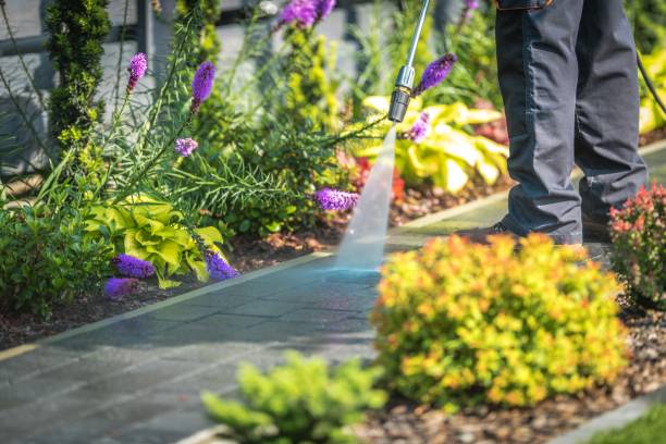 Best Parking Lot Cleaning in Lafayette, TN